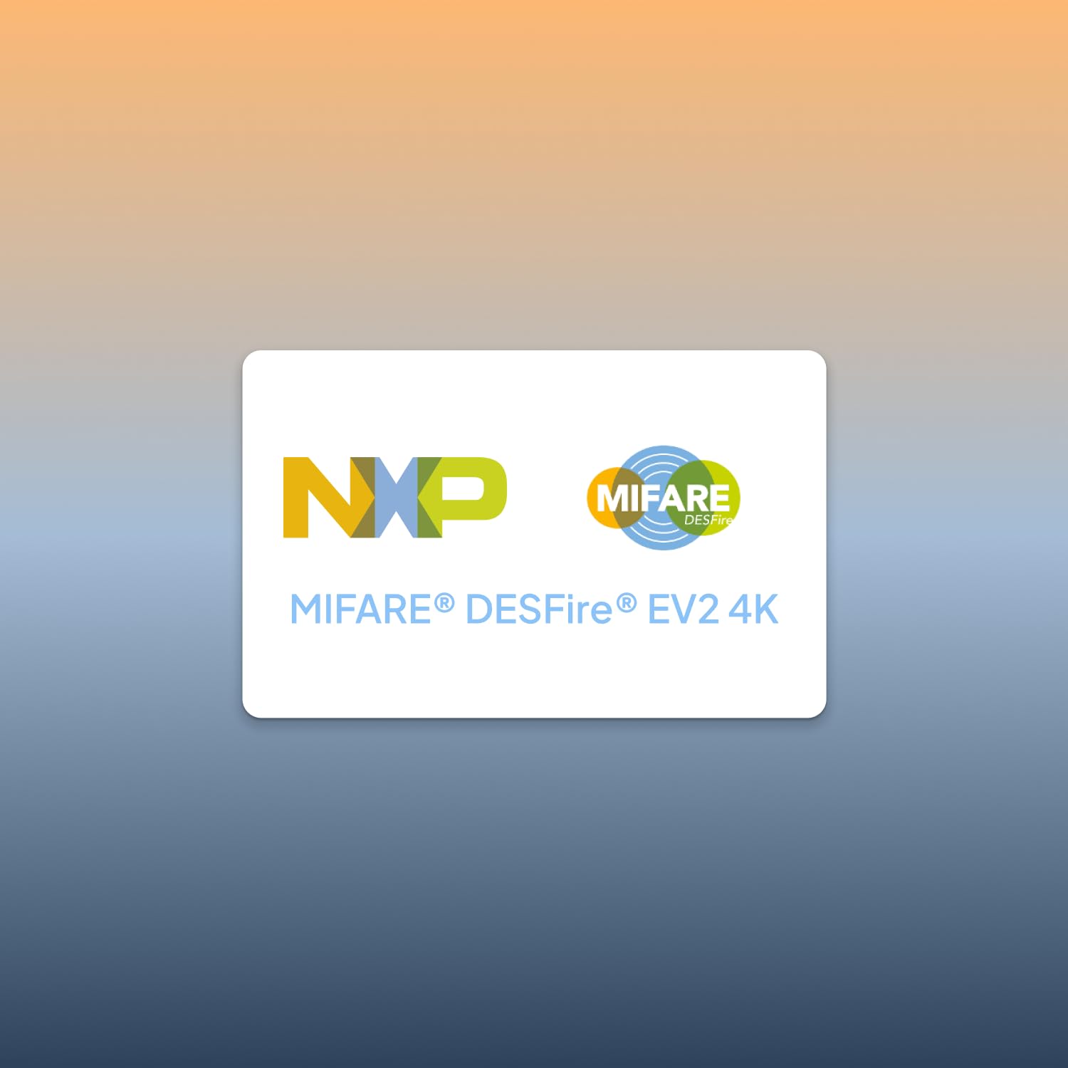 FIDO2 Sicherheitsschlüssel - Passwortlose & 2FA-Authentifizierung - Kompatibel Mit Microsoft, Apple, Google & Mehr - Mifare Desfire - Praktisches Kartenformat - NFC & Kontakt (weiß)