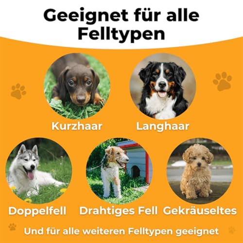 Fellwunder Bürste 2025 Neu: Deshedding-Bürste Mit Komfortgriff Für Hunde & Katzen (1 Stück)