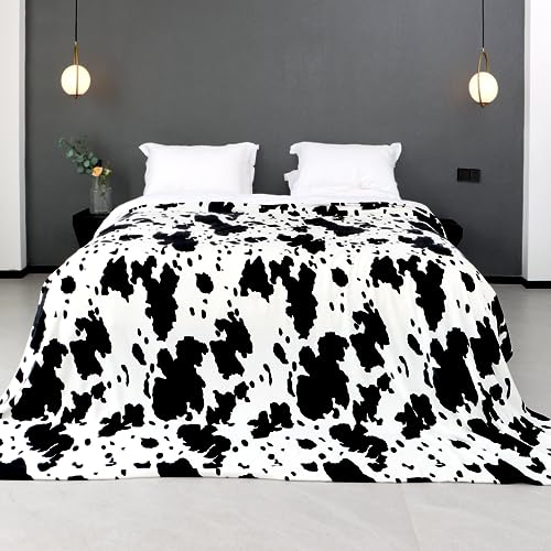Image of Queen Blanket for Bed, Full Size Fleece Throws for Home Rome Decor, Large Warm Fuzzy Plush Bed Blanket Gifts for Women Men, Lightweight, All Season, 90x90 Inches