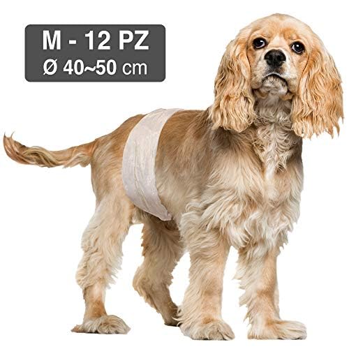 Croci Hundewindel - Hundewindeln für Rüden - Hundeunterhose zum Pinkeln - Hygiene Wickelwindel für Rüden, Geruchshemmend, Einweg, 12 Stück, Größe M, 40-50 cm