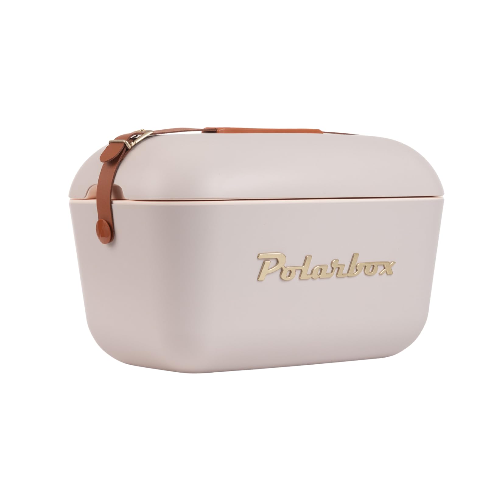 Retro Beach Cooler Vintage Picnic Lunch Box Bag Portable Cooler Travel Camping Hiking 90s Style Ice Chest