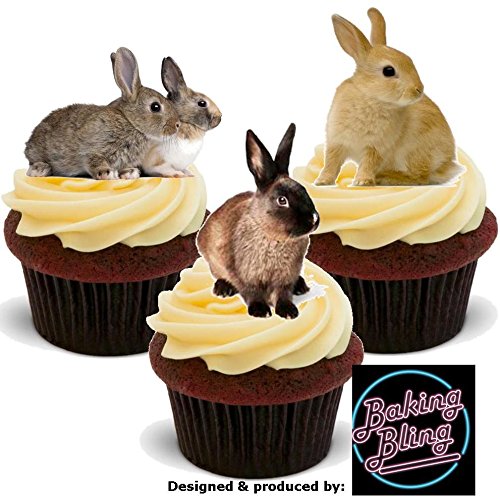 12 x Cute Bunny Rabbits Farm Animals Rabbit - Fun Novelty Birthday Premium Stand UP Edible Wafer Card Cake Toppers Decoration