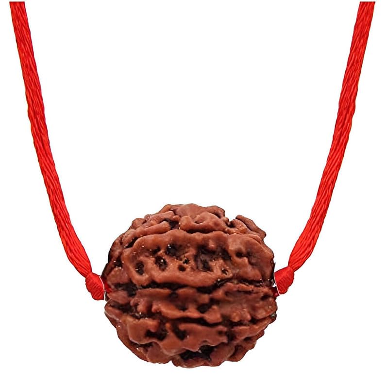 Natural Certified 1/2/3/4/5/6/7/8/9/10/11/Ganesh/Gaurishankar mukhi Astrological Original Nepali Rudraksha Beads with lab tested certificate for Men and Women