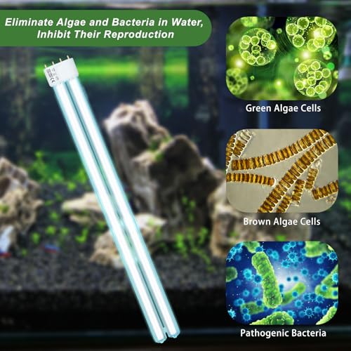 55W 4-Polige UV-Desinfektionslampe, 2G11 UVC-Röhrendesinfektions-Kompaktlampe, Desinfektionsfilterlampe, Geeignet Zum Reinigen Und Klären Von Parkteichen, Gartenfischteichen, Aquarien, Fischbecken