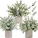 APPOK Artificial Potted Plants Mini Fake Eucalyptus Plant, Small Plastic Green Grass with Pot, Faux Rosemary Plants for Home Decor, Indoor, Table Decoration - 3 Pack, Flocking Green