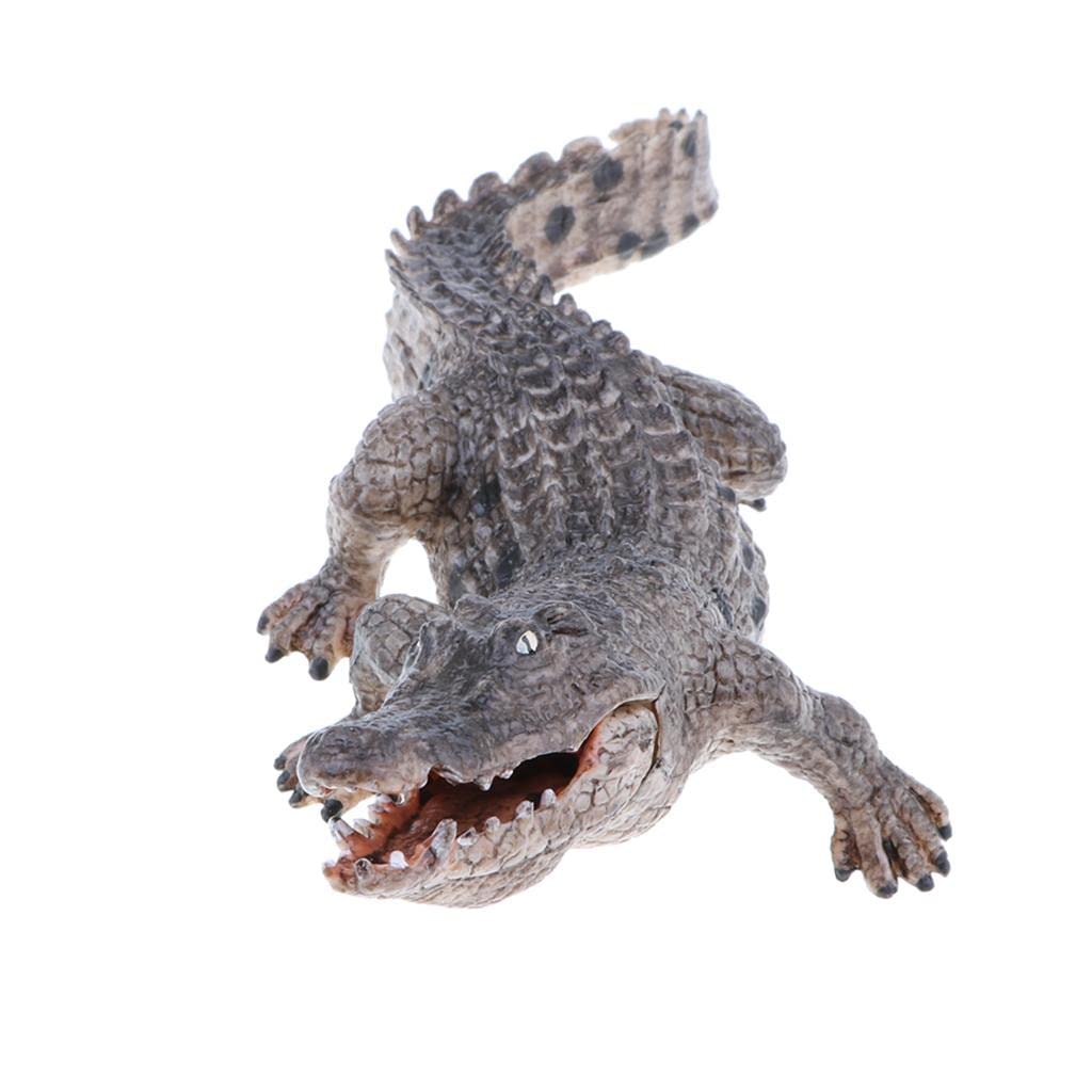 Enakshi Simulation Wild Animal Model Figure Toys Figurine Home Decor Crocodile A|Toys & Hobbies | Educational | Science & Nature | Animals & Nature (B0CFVMDY94) Amazon Price History, Amazon Price Tracker