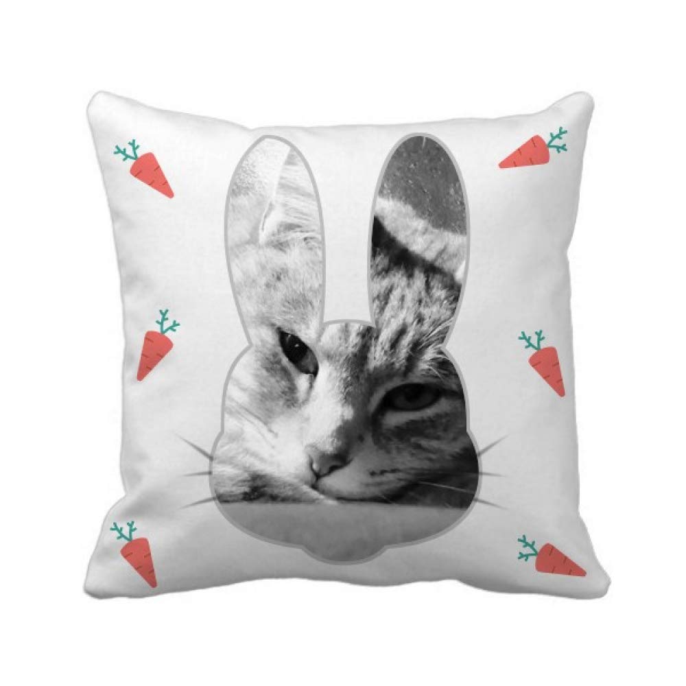 Coussin carré chat gris parfait pour sublimer le canapé de votre salon