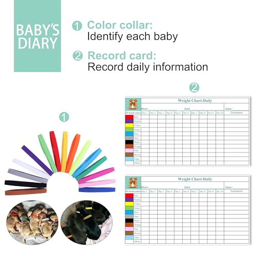 Doggiema Puppy Kitten Whelping Kit, Essentials Kit für Neugeborene Welpen Kätzchen, All in One Complete mit wesentlichen Lieferungen für Neugeborene Geburt