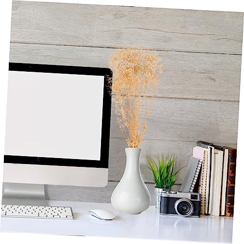 Ramilletes de flor Gypsophila seca natural para decoración miniatura 3