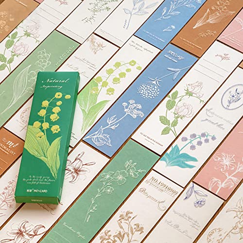 Doraking 20PCS Nature Themed Paper Bookmarks for Book Lovers, Boxed Bookmarks Set as Gifts for Students(Natural Imprinting)