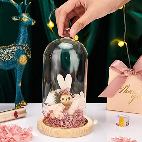 PH PandaHall Glass Display Dome Cloche - Image 4