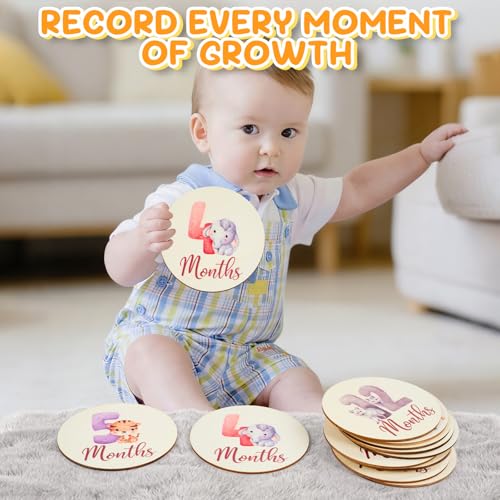 Image of Baby Monthly Milestone Signs - 13 Pack Wooden Baby Milestone Cards for 1-12 Months, Newborn Photography Props with Hello World Discs, Gender Neutral Baby Announcement for Boy Girl Age Shower Gifts