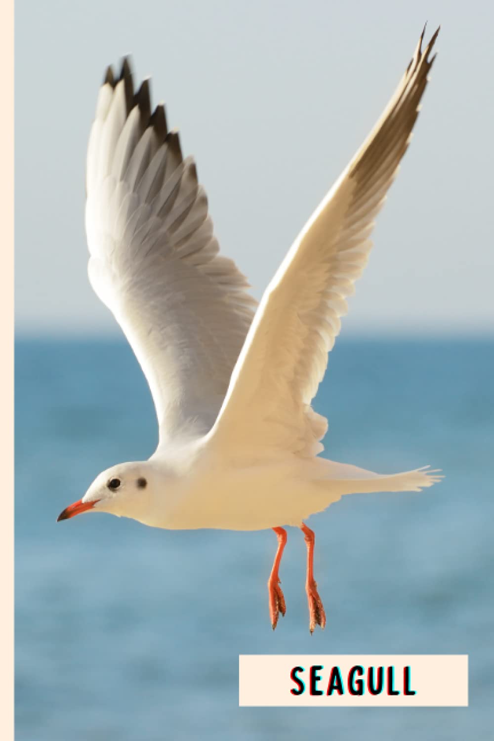 Seagull: Composition Notebook For Seagull Lovers , Seagull Lined Journal ,6x9 Inches , 110 Pages ,Seagull Diary