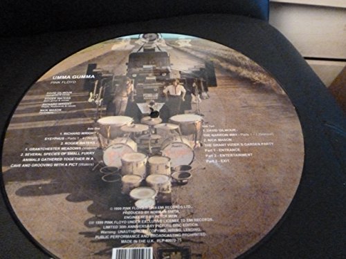 Pink floyd.picture. umma gumma. pressage uk. 500