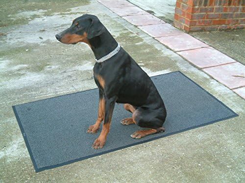 splendid pets mats