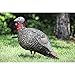 AvianX Jake Quarter Strut Decoy, Camo