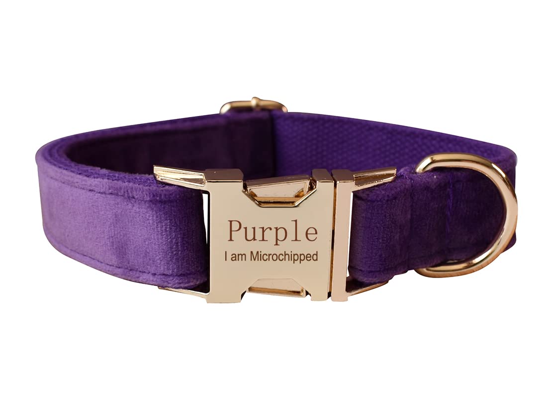 Velvet Dog Collar Personalized with Name Phone Number Engraved, Custom Pet Collars with Metal Buckle(Purple, XL)