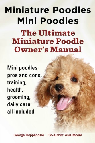 mini poodle grooming