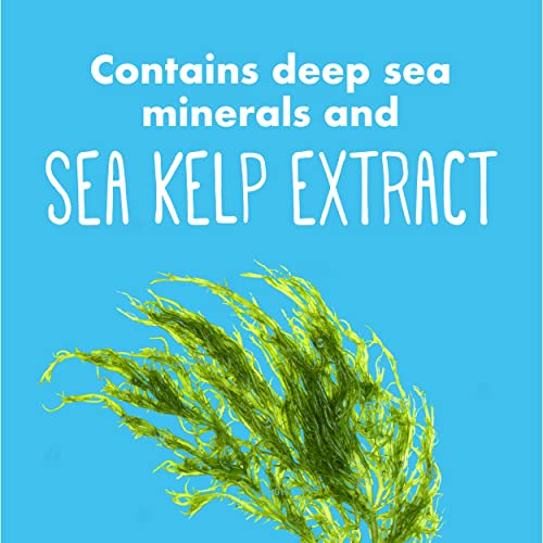 Clean & Clear Night Relaxing Deep Cleaning Oil-Free Face Wash With Deep Sea Minerals, Sea Kelp Extract & Glycerin, Purifying Facial Cleanser For All Skin Types, Non-Comedogenic, 8 Fl Oz, Pack Of 6 #TOP5