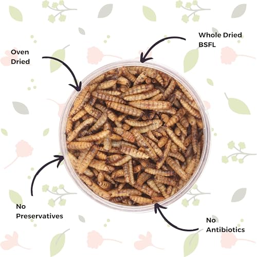 Image of Dried Black Soldier Fly Larvae Treat Fish Food (25 Gram) For Arowana Oscar, Flowerhorn & Other Carnivorous Fishes Omega 3 & 6, 50X More Calcium Than Worms, All Life Stages