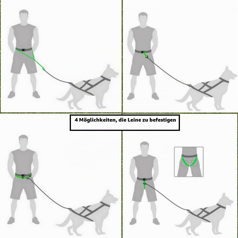 Dingo Multifunktionsgürtel für Hunde Canicross Gürtel 4 in 1 Laufband Freihandleinen für Hunde Professioneller Gürtel,Walking,Canicross,Bike-Skijöring,Trekking Schwarz 12780
