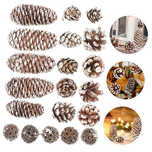 Set 5 conos de pino secos para decoración y manualidades miniatura 2