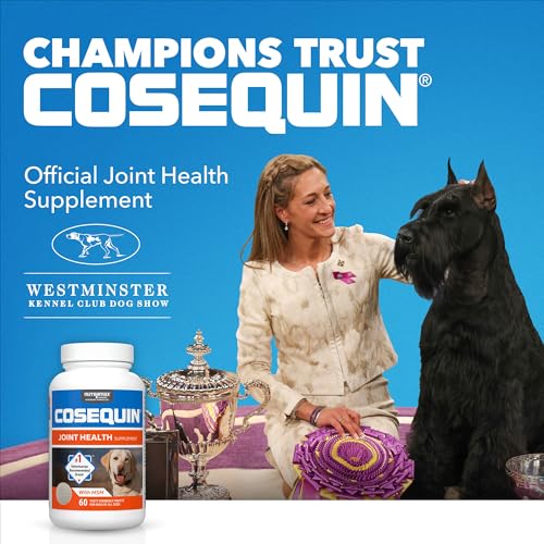 Image of Nutramax Laboratories Cosequin Maximum Strength Joint Health Supplement for Dogs - With Glucosamine, Chondroitin, and MSM, 2 Pack, 264 Total Chewable Tablets