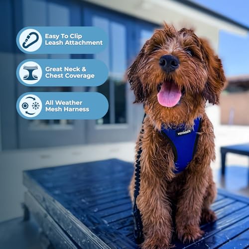 Image of Voyager Step-in Air Dog Harness - All Weather Mesh Step in Vest Harness for Small and Medium Dogs by Best Pet Supplies - Royal Blue Base, M
