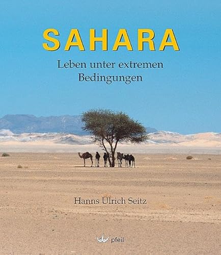 Preisvergleich Produktbild SAHARA: Leben unter extremen Bedingungen