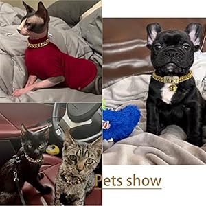 18K Gold Dog Collar 14mm Metal Stainless Steel with Cubia Zirconia Lock Dog Luxury Training Collar Cuban Lock Link Necklace Chain 14 inch