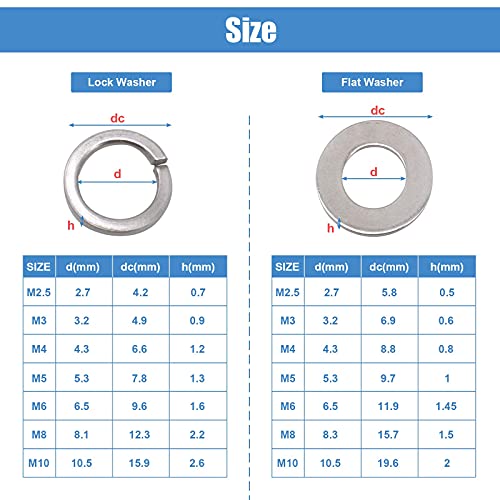XTVTX 260 PCS Kit assortimento rondelle 304 in
