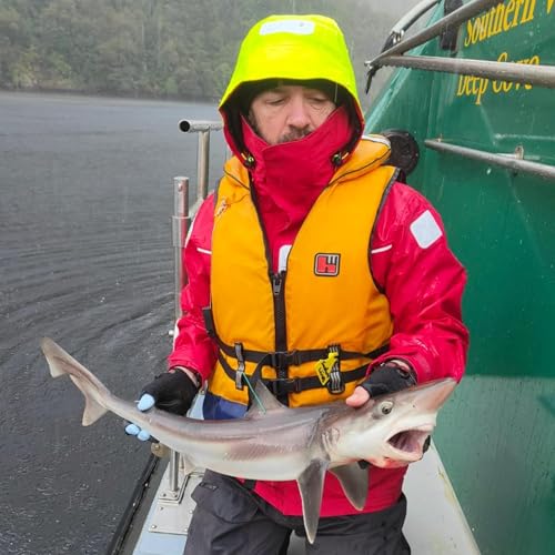 27. Shark scientist Clinton Duffy on shark behaviour, what swimmers should know, and what it's like tagging great whites