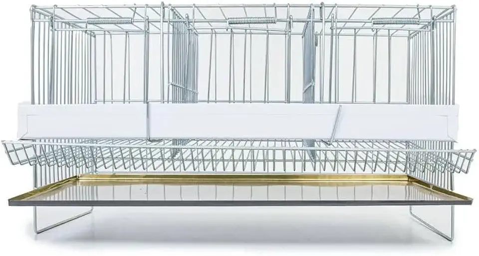 Gaiola para Codorna Poedeira Japonesa Pequena Aves com Divisória Coxo Comedouro E Bebedouro