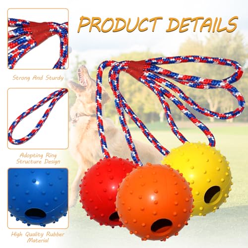 4 Ball mit Schnur Hund, ø 5/30 cm Wurfball am Seil Naturkautschuk, Hundespielzeug Ball mit Seil extrem Weite Würfe, Hundeball Snackball, Hundebälle Kleine Hunde, Große Hunde (Rot Gelb Blau Orange)