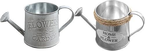 Artibetter 2 jarrones de lata para centros de mesa, mini macetas de metal, mini cubos de metal, maceta retro, cubeta para plantas, regadera,