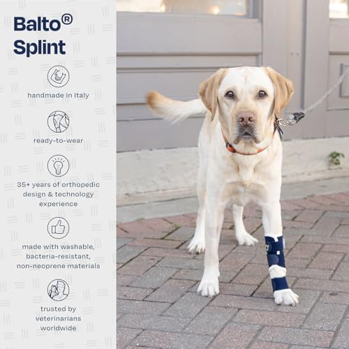 Image of Balto Splint Carpal /Tarsal Brace- Hyperextension Dog Brace with Aluminum Splint - Supports Fractures and Sprains - Front Leg Support (Medium)