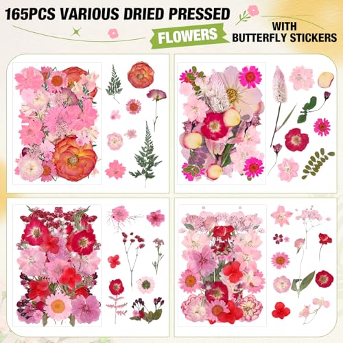 160 piezas flores prensadas secas rosas con stickers miniatura 3
