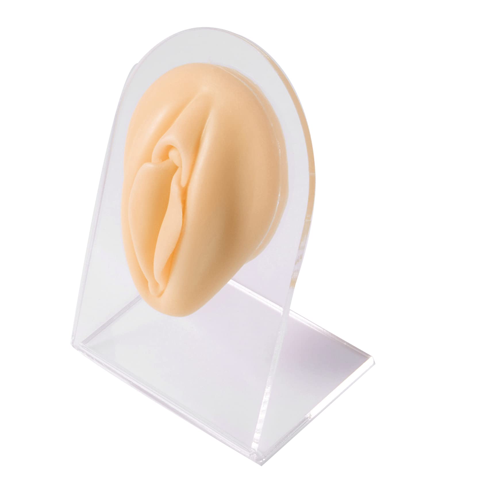 Soft Silicone Flexible Model Body Part Displays for Acupuncture human model simulation for jewelry display teaching tool (Female Labium)