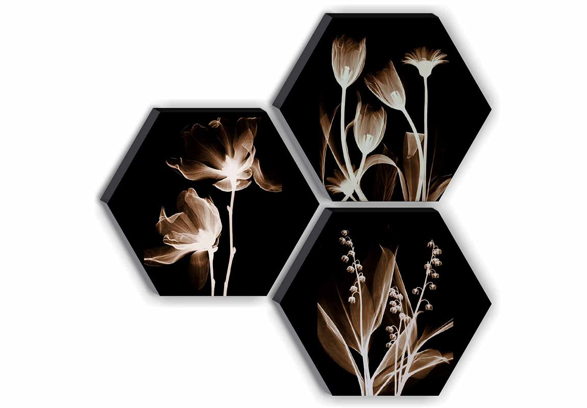 SAF paintings Set of 3 Hexagon Preety White Flower UV Textured MDF Home Decorative Gift Item Painting 17 Inch X 17 Inch SANFHX13SMALL SAF paintings Set of 3 Hexagon Preety White Flower UV Textured MDF Home Decorative Gift Item Painting 17 Inch X 17 Inch SANFHX13SMALL