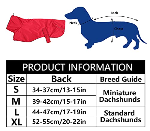 MOREZI Hundejacke ist eine wasserdichte, mit Fleece gefütterte Hundewinterjacke mit verstellbarem Gürtel und Reflexbesatz, geeignet für Dackel und ähnliche Rassen-Rot-S