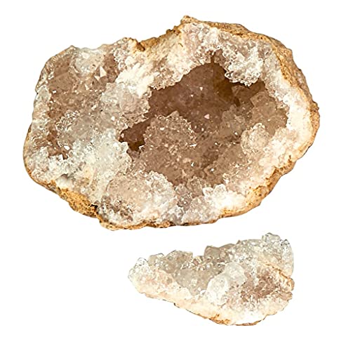 Moses. 9833 Expedition Natur - Set di esploratori