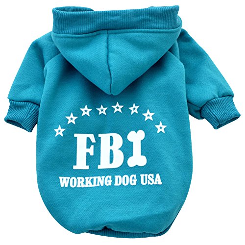 Amur Leopard-FBI Cane gatto cucciolo animale