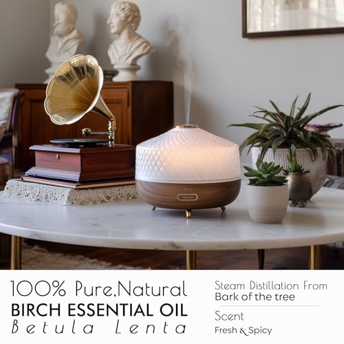 Image of Organic Birch Essential Oil | 100% Pure Betula lenta Bark Oil | Sweet Minty Woody Aroma | For Diffuser & Aromatherapy Blends, 10ml