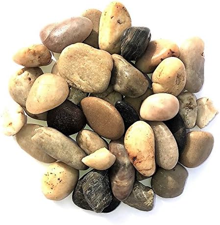 Miniatura 6 de Mystical Mermaid - Pescadera decorativa de 1 galón para acuario, terrario o portavelas de cristal, figura dorada de sirena envejecida con cuenco,