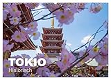 Tokio Kalender mit historischen Tempeln und Schreinen (Wandkalender 2023 DIN A2 quer), Calvendo Monatskalender
