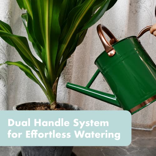 Homarden 1 Gallon Green Colored Watering Can - Metal Watering Can With Removable Spout, Perfect Plant Watering Can For Indoor And Outdoor Plants - Ideal Gift & Home Or Garden Decoration #TOP1