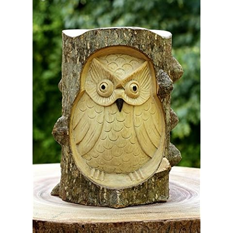G6 Collection Wooden Owl Statue Cover