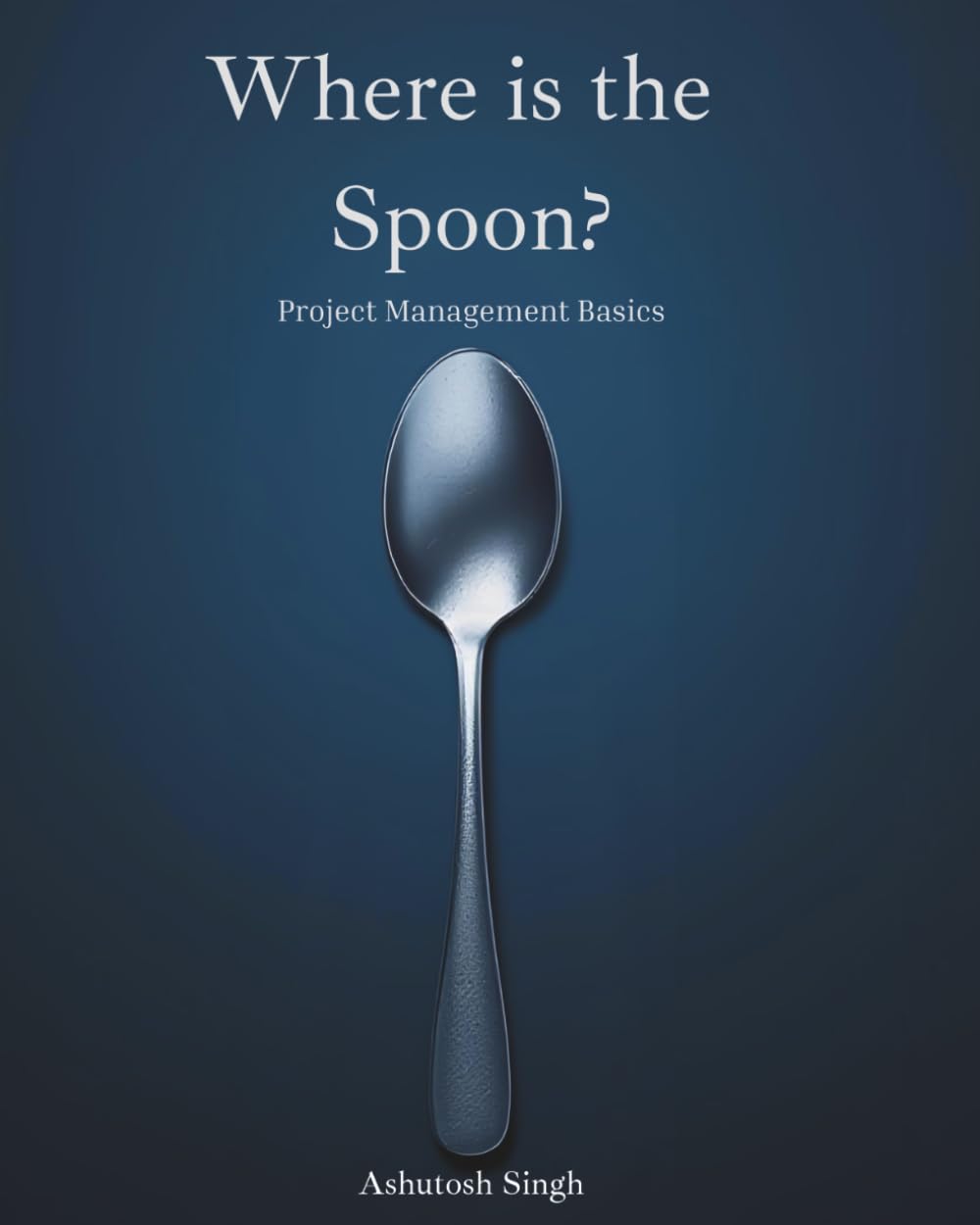 Where is the Spoon?: Project Management Basics