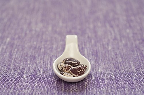 20 semillas certificadas de Navidad Orgánica Garrofón ~ Aka gran planta Calico manchada