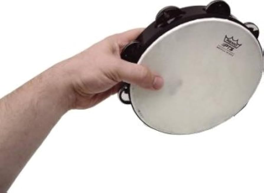 【新品未使用】REMO タンバリン　tambourines Amazon.com: Remo 8